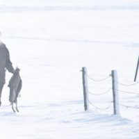 Jagers in de sneeuw